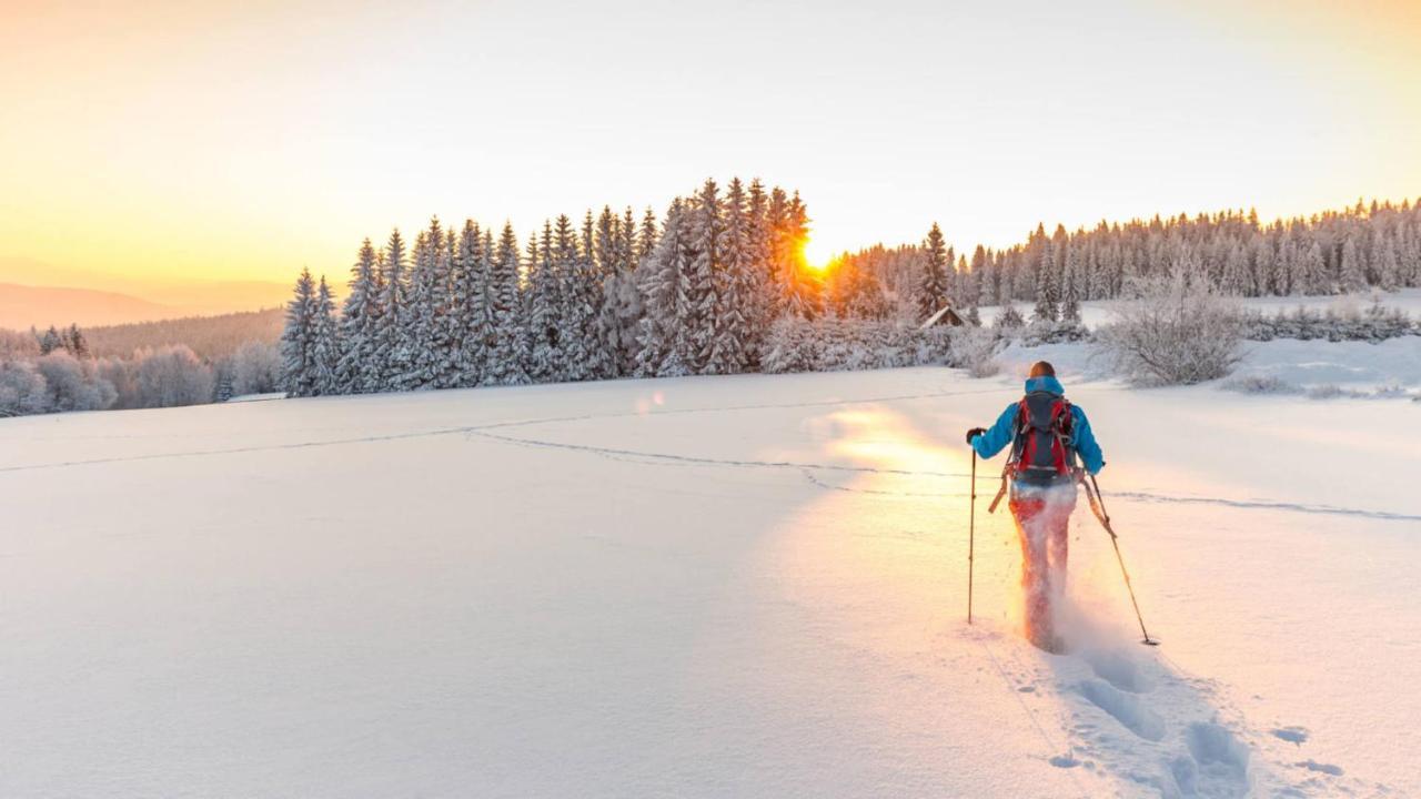 Chambre Privee Au Pied Des Pistes - Chambre Chez L'Habitant - Chaletnelda Com Ламура Екстер'єр фото
